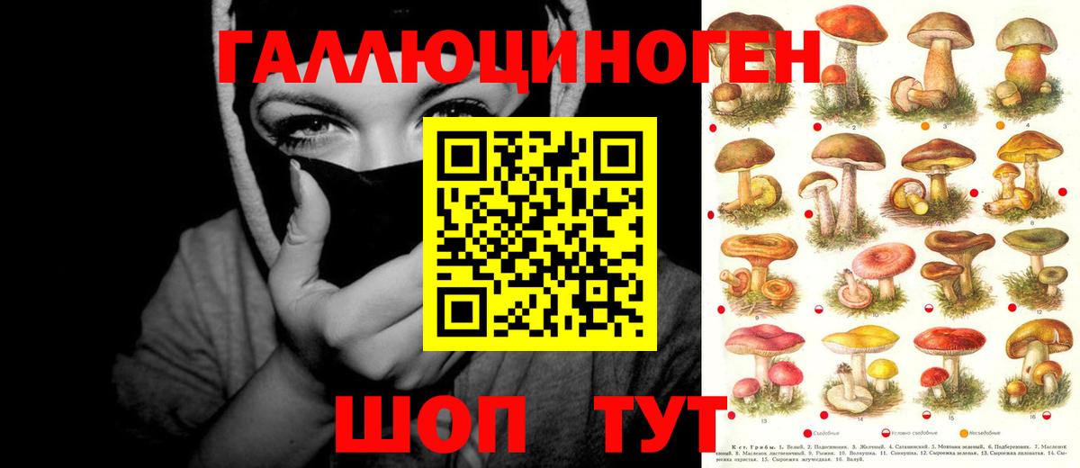 Ярцево  Галлюциногенные грибы Psilocybine cubensis  Псилоцибиновые грибы Psilocybe  Вход с VPN 